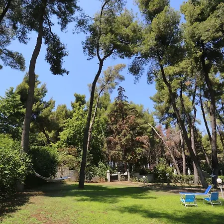 Villa Paradise Pines - 6 Bdrms, 6 Baths, Bbq, Gardens