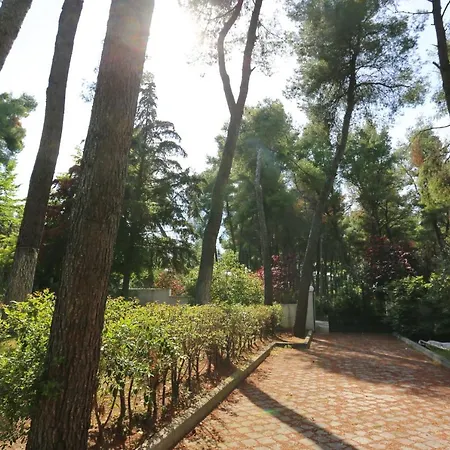 Paradise Pines - 6 Bdrms, 6 Baths, Bbq, Gardens